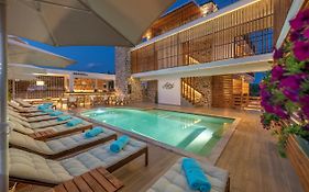Dandelion Suites